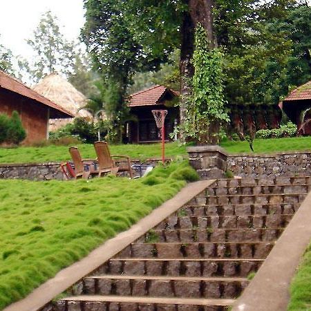 דרמסאלה Hotel Misty Woods מראה חיצוני תמונה