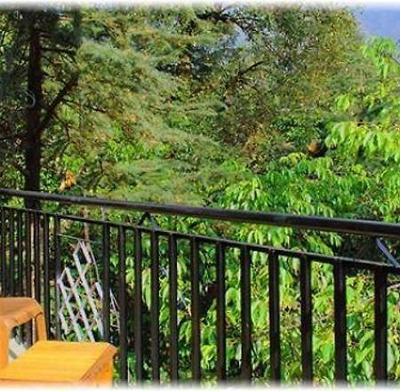 דרמסאלה Hotel Misty Woods מראה חיצוני תמונה